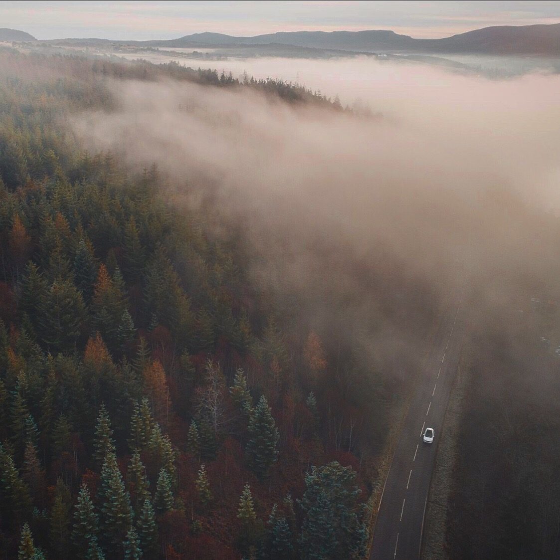 Sitemap - Mac and Wild